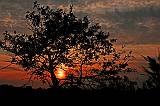 Landscapes
